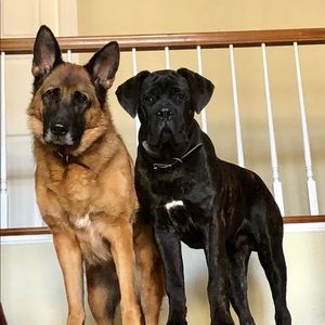 Meet your Posher, Hailey